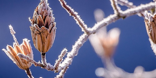 winter banner